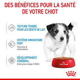 Royal Canin Mini Aliment Humide Chien Puppy Sauce - Sachet fraîcheur pour chiot 85 G